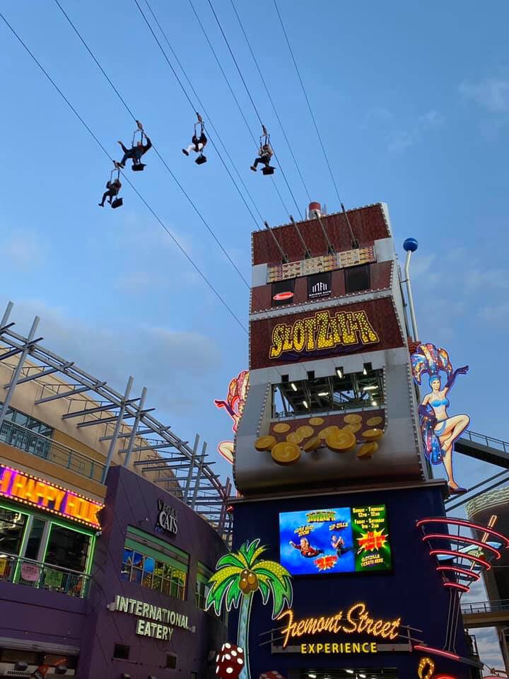 captain cooks casino mobile login Online