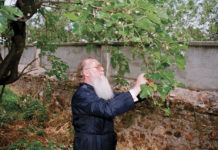 Athen: Griechische Staatsspitze würdigt Patriarch Bartholomaios