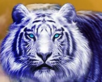 casino twist Slot Machine